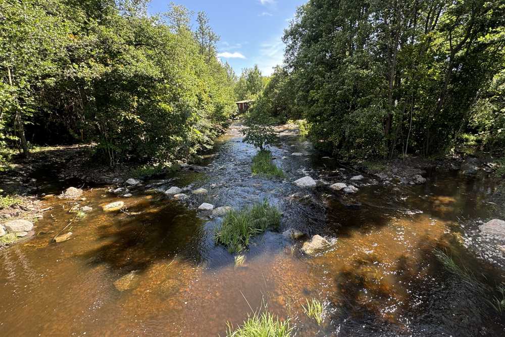 Biotoprestaurering i Lötån