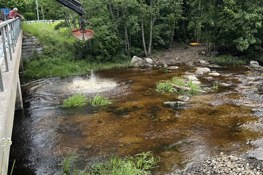 Biotoprestaurering i Lötån