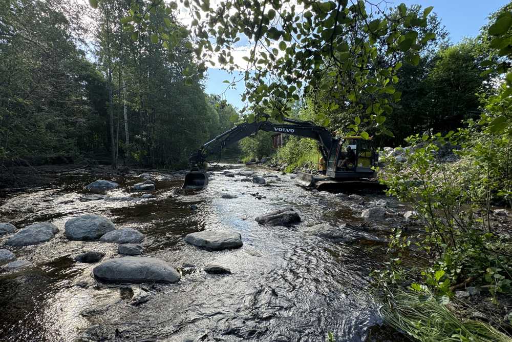 Biotoprestaurering i Lötån