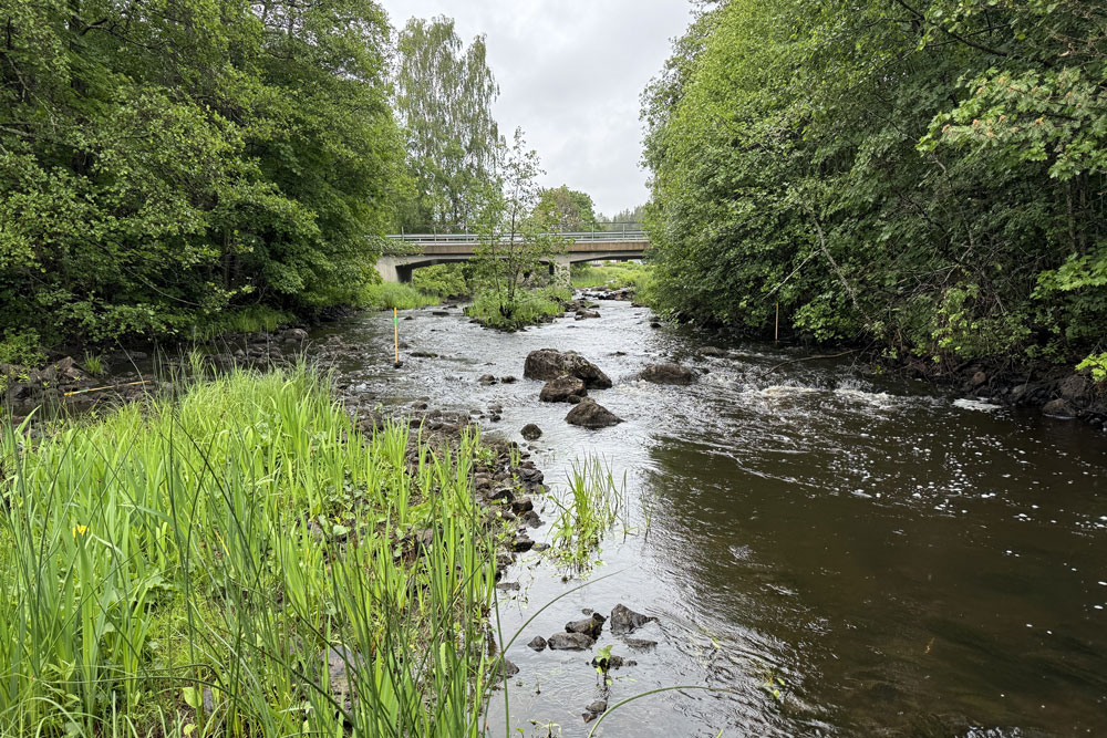 Biotoprestaurering i Lötån