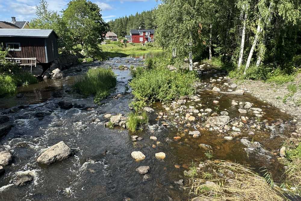 Biotoprestaurering i Lötån