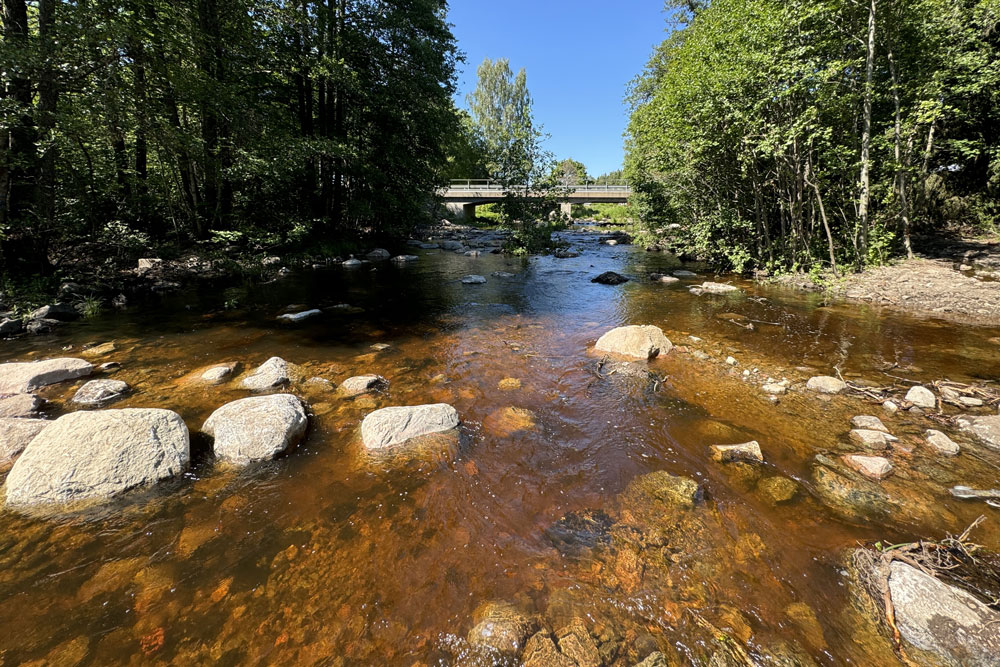 Biotoprestaurering i Lötån